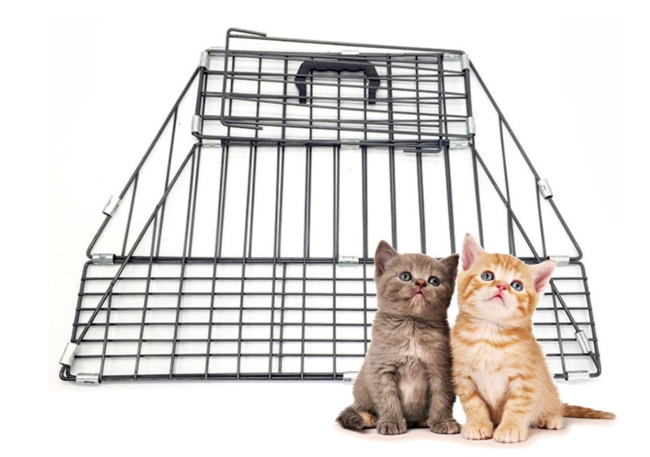 Cage1