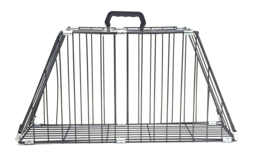 Cage2