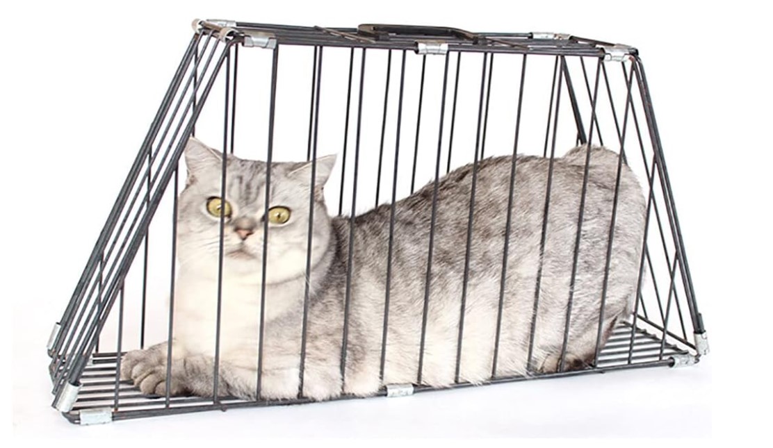 cage6